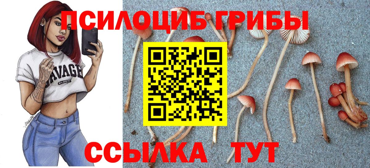 Галлюциногенные грибы ЛСД Анапа