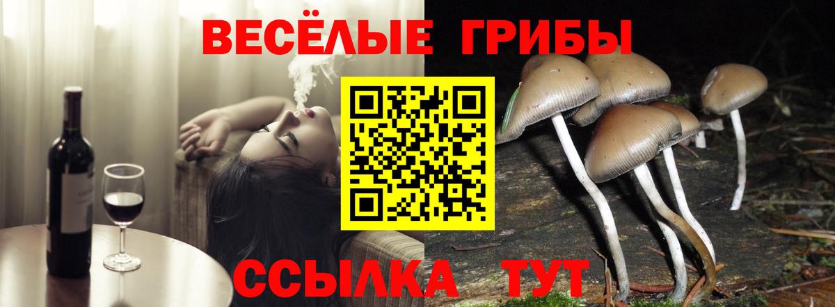 Анапа  Псилоцибиновые грибы мицелий  Вход с VPN  Галлюциногенные грибы Magic Shrooms 